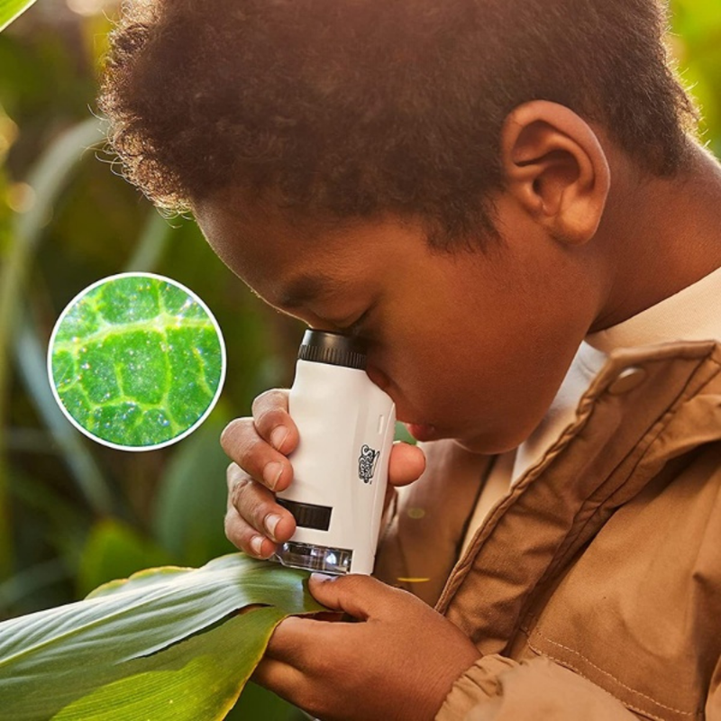 Microscópio Pedagógico Infantil